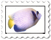 Ryba