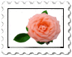 R�a